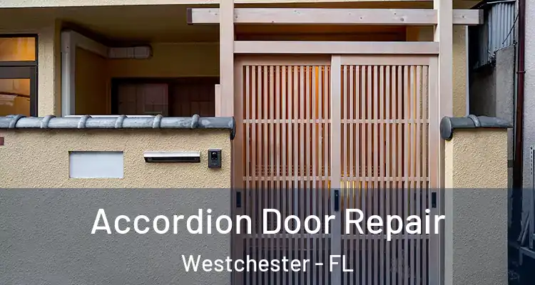  Accordion Door Repair Westchester - FL
