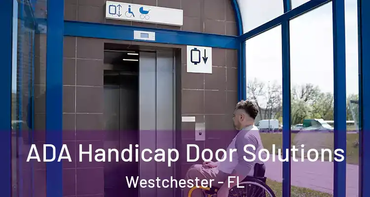  ADA Handicap Door Solutions Westchester - FL