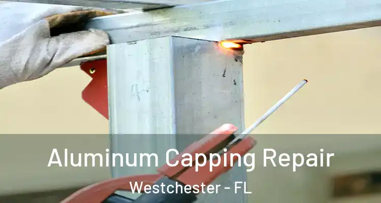  Aluminum Capping Repair Westchester - FL