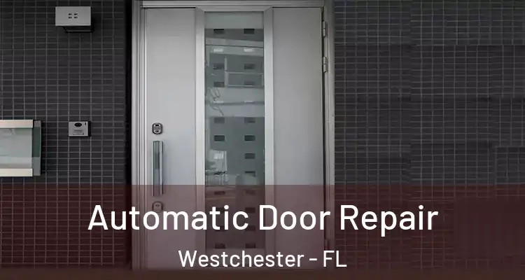  Automatic Door Repair Westchester - FL