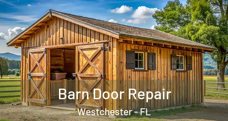  Barn Door Repair Westchester - FL