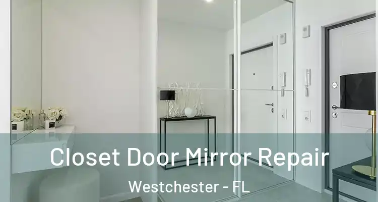  Closet Door Mirror Repair Westchester - FL