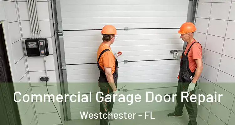  Commercial Garage Door Repair Westchester - FL