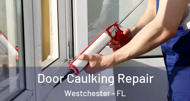  Door Caulking Repair Westchester - FL