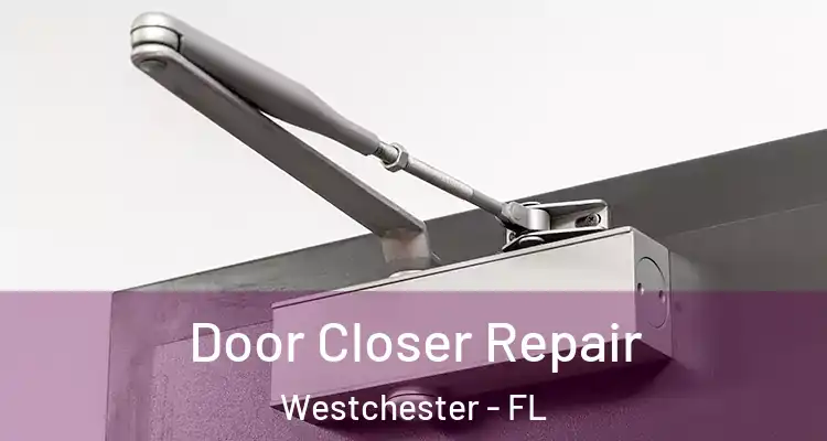  Door Closer Repair Westchester - FL