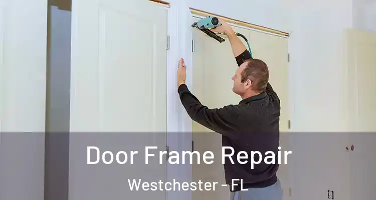  Door Frame Repair Westchester - FL