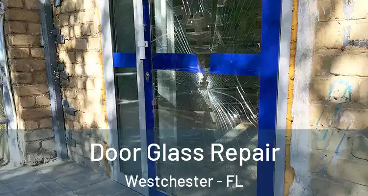  Door Glass Repair Westchester - FL