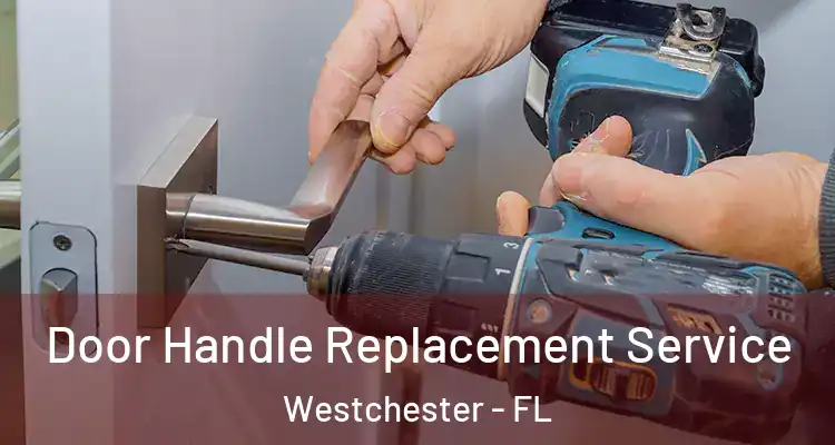  Door Handle Replacement Service Westchester - FL