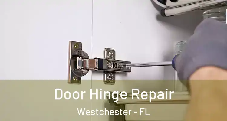  Door Hinge Repair Westchester - FL