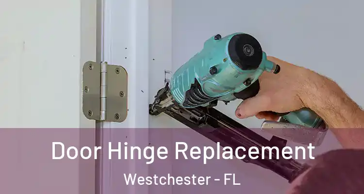  Door Hinge Replacement Westchester - FL