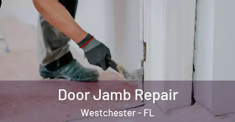  Door Jamb Repair Westchester - FL