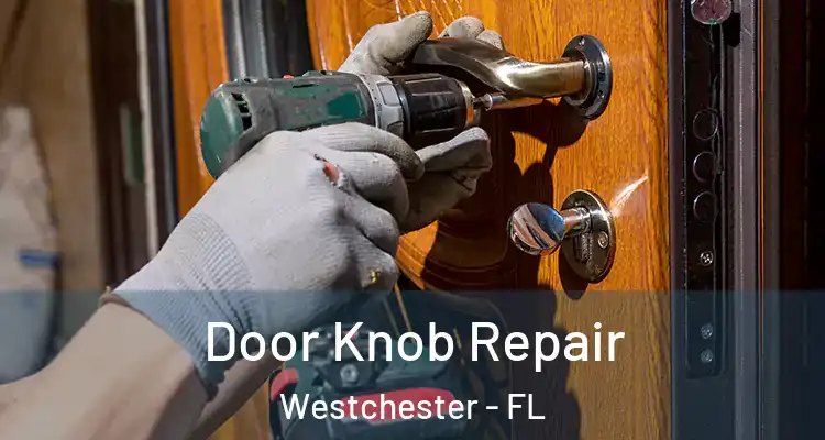  Door Knob Repair Westchester - FL