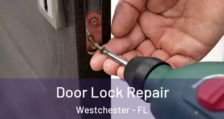  Door Lock Repair Westchester - FL