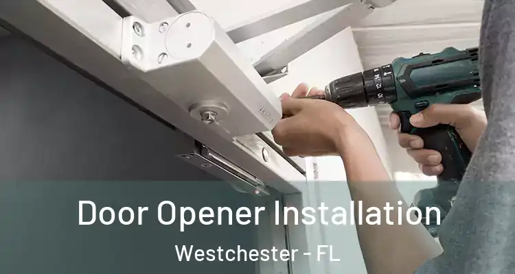  Door Opener Installation Westchester - FL