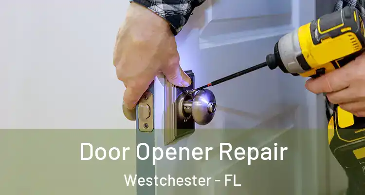  Door Opener Repair Westchester - FL