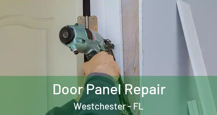  Door Panel Repair Westchester - FL