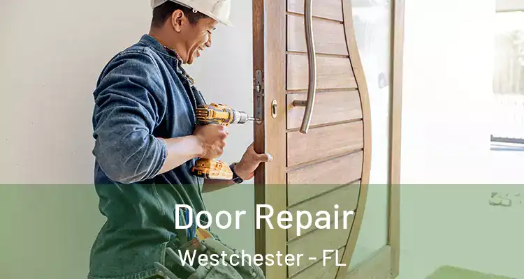  Door Repair Westchester - FL