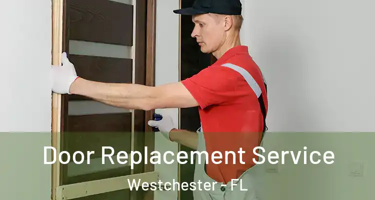  Door Replacement Service Westchester - FL