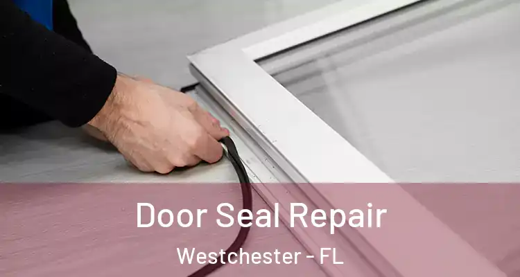  Door Seal Repair Westchester - FL