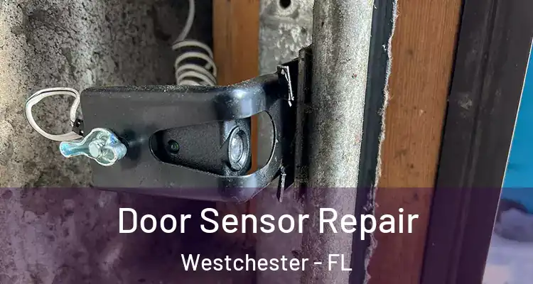  Door Sensor Repair Westchester - FL