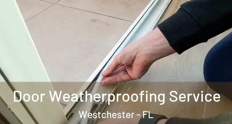  Door Weatherproofing Service Westchester - FL