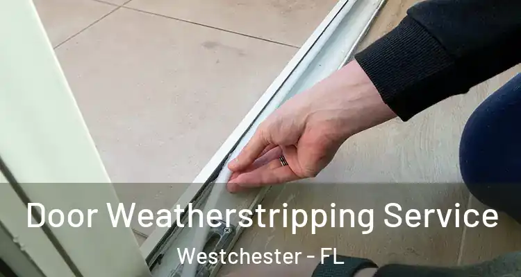  Door Weatherstripping Service Westchester - FL