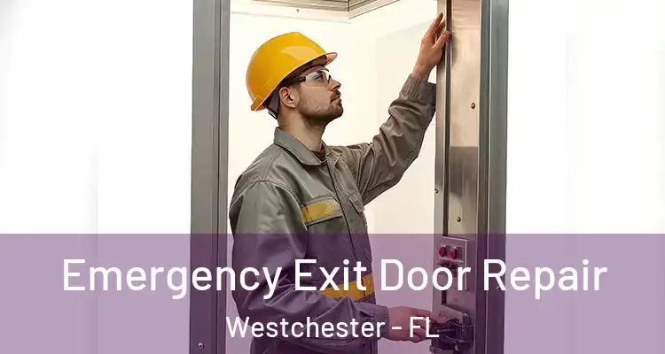  Emergency Exit Door Repair Westchester - FL