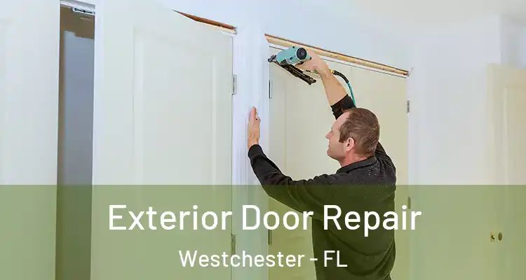  Exterior Door Repair Westchester - FL