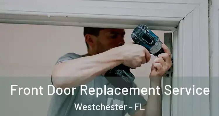  Front Door Replacement Service Westchester - FL