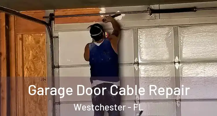  Garage Door Cable Repair Westchester - FL