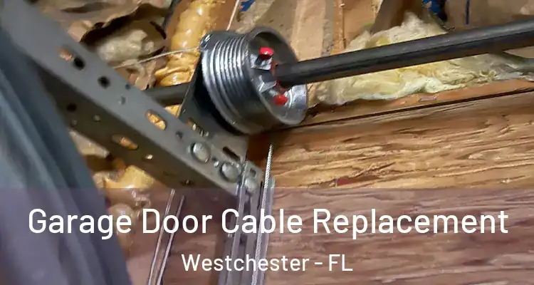  Garage Door Cable Replacement Westchester - FL