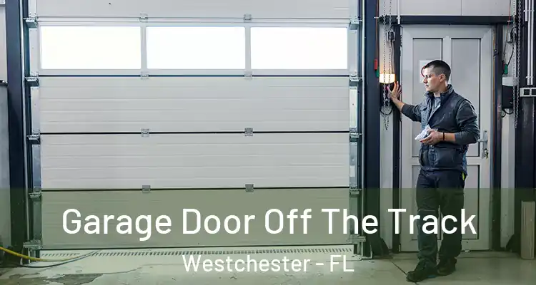  Garage Door Off The Track Westchester - FL