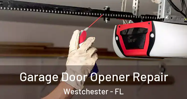  Garage Door Opener Repair Westchester - FL