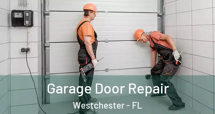  Garage Door Repair Westchester - FL