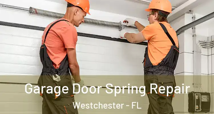  Garage Door Spring Repair Westchester - FL