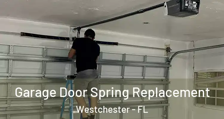  Garage Door Spring Replacement Westchester - FL