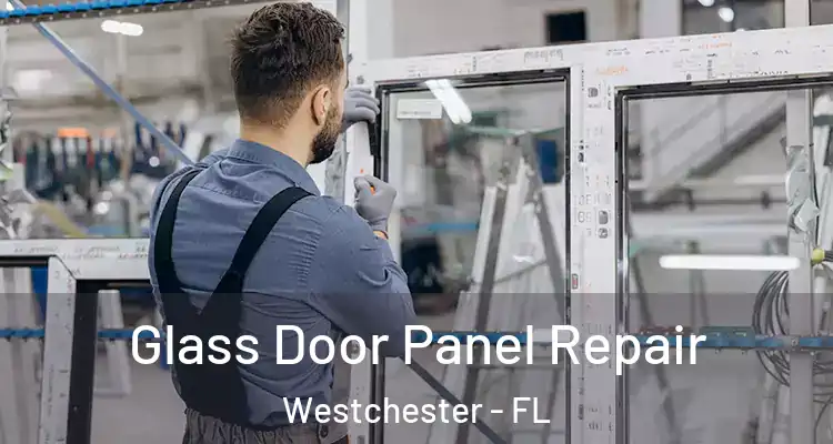  Glass Door Panel Repair Westchester - FL