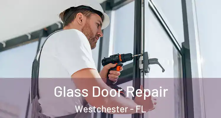  Glass Door Repair Westchester - FL