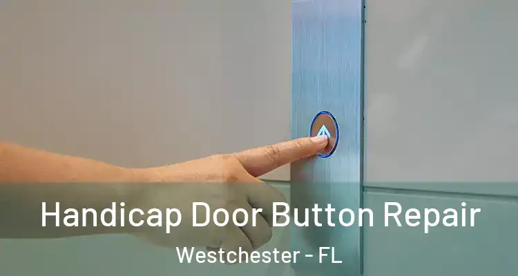  Handicap Door Button Repair Westchester - FL