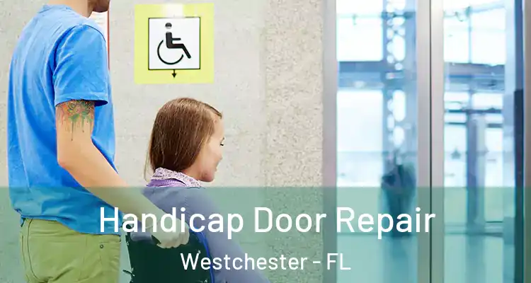  Handicap Door Repair Westchester - FL