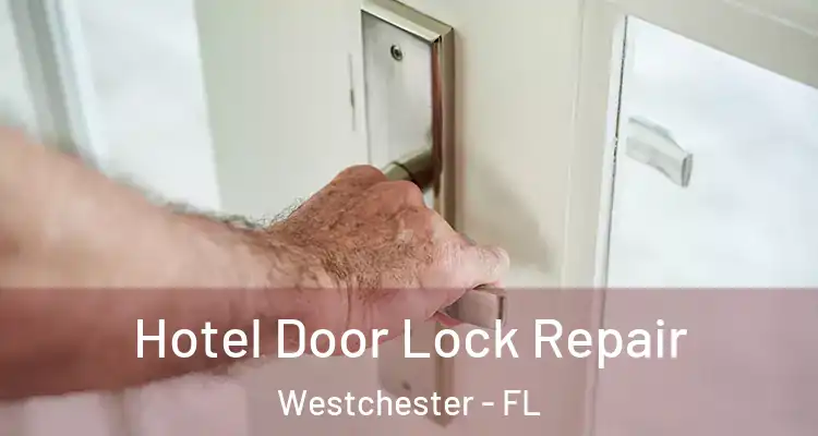  Hotel Door Lock Repair Westchester - FL