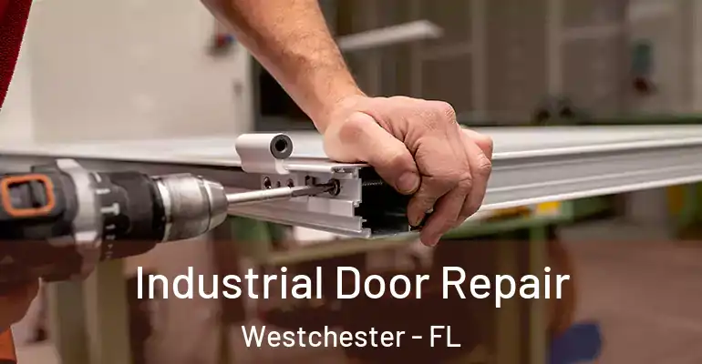  Industrial Door Repair Westchester - FL