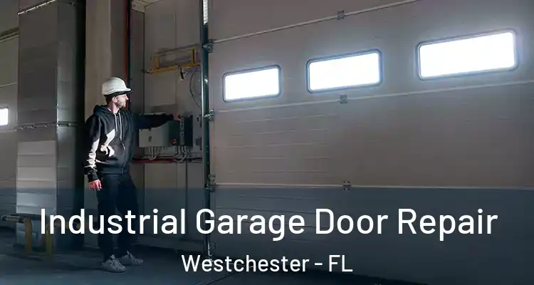 Industrial Garage Door Repair Westchester - FL