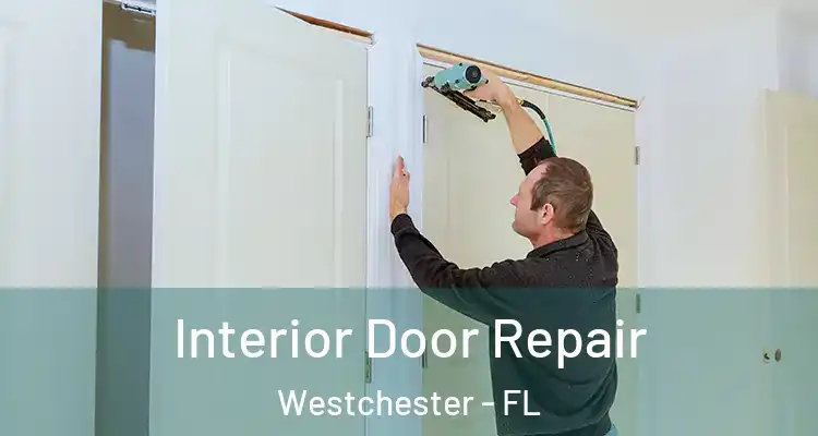  Interior Door Repair Westchester - FL