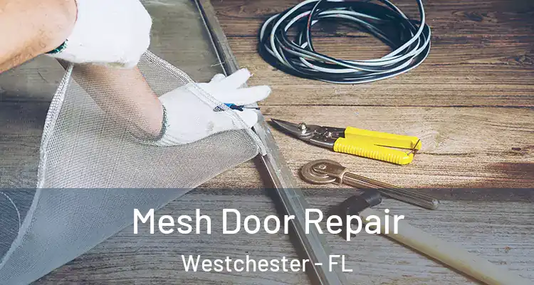  Mesh Door Repair Westchester - FL
