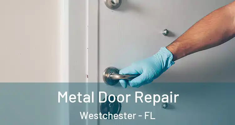  Metal Door Repair Westchester - FL