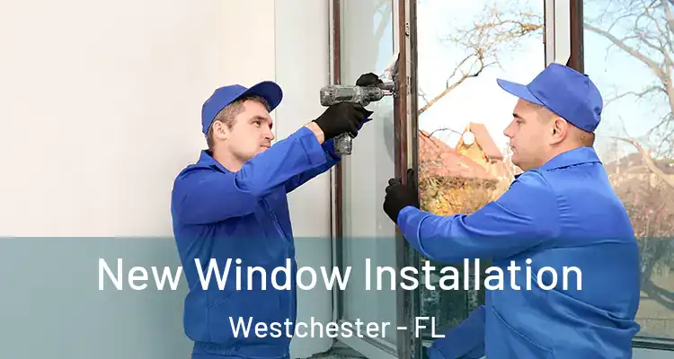  New Window Installation Westchester - FL