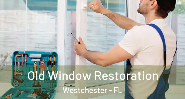  Old Window Restoration Westchester - FL