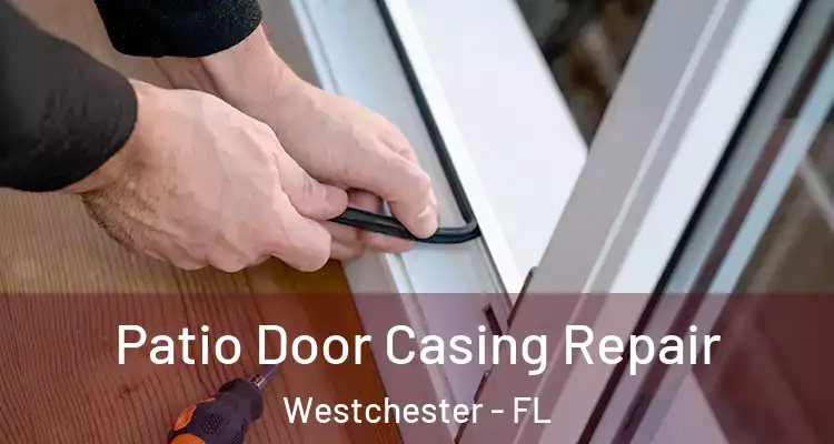  Patio Door Casing Repair Westchester - FL