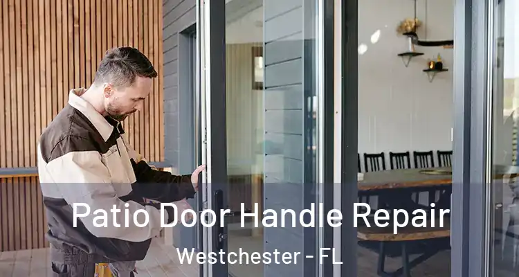  Patio Door Handle Repair Westchester - FL